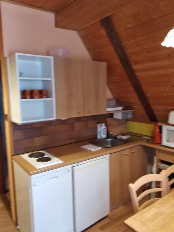 Apartment Cerna Ricka